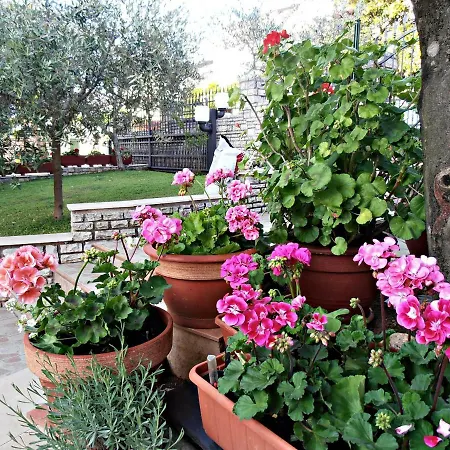 Lägenhet Glam *